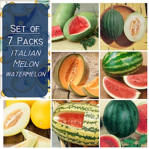 75 samen - Set mit 7 Packungen - Wassermelone und Melonenkerne, Italienische Obstsamen, Gemüsemischungssamen, Samenkombination 7 Packungen, Nicht GMO