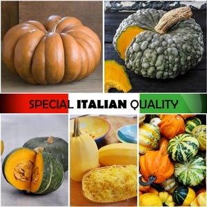 Italienska pumpafrön: Rund pumpa, Spaghetti pumpa, Chioggia pumpa, Hybridpumpa Delica F1, Prydnadsgräsor, Musque de Provence
