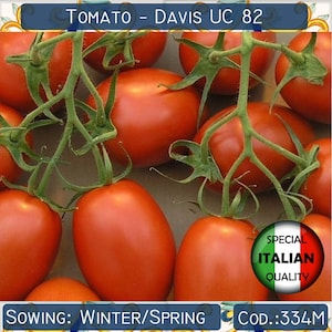 150+ tomaat Davis UC82-zaden, Italiaanse tomatenzaden, rode tomatenzaden, groentezaden, GGO-vrij #334 M