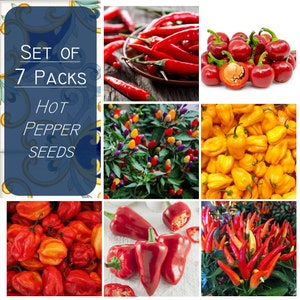 340+ seeds - Set of 7 Packs - Hot Pepper seeds, Spicy Vegetable mix seeds, Seed combo 7 packs, Rare Hot Pepper seeds
