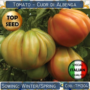 50+ Cuor di Albenga-tomatenzaden, Salade Tomatenzaden, Italiaanse Tomatenzaden, Groentezaden, GGO-vrij #TM304