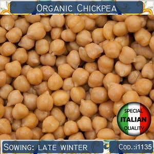 10 Organic Chickpea seeds, Italian Garbanzo Bean seeds, Cicer Arietinum seeds, Bush Bean seeds, Italian Legume seeds #i1135