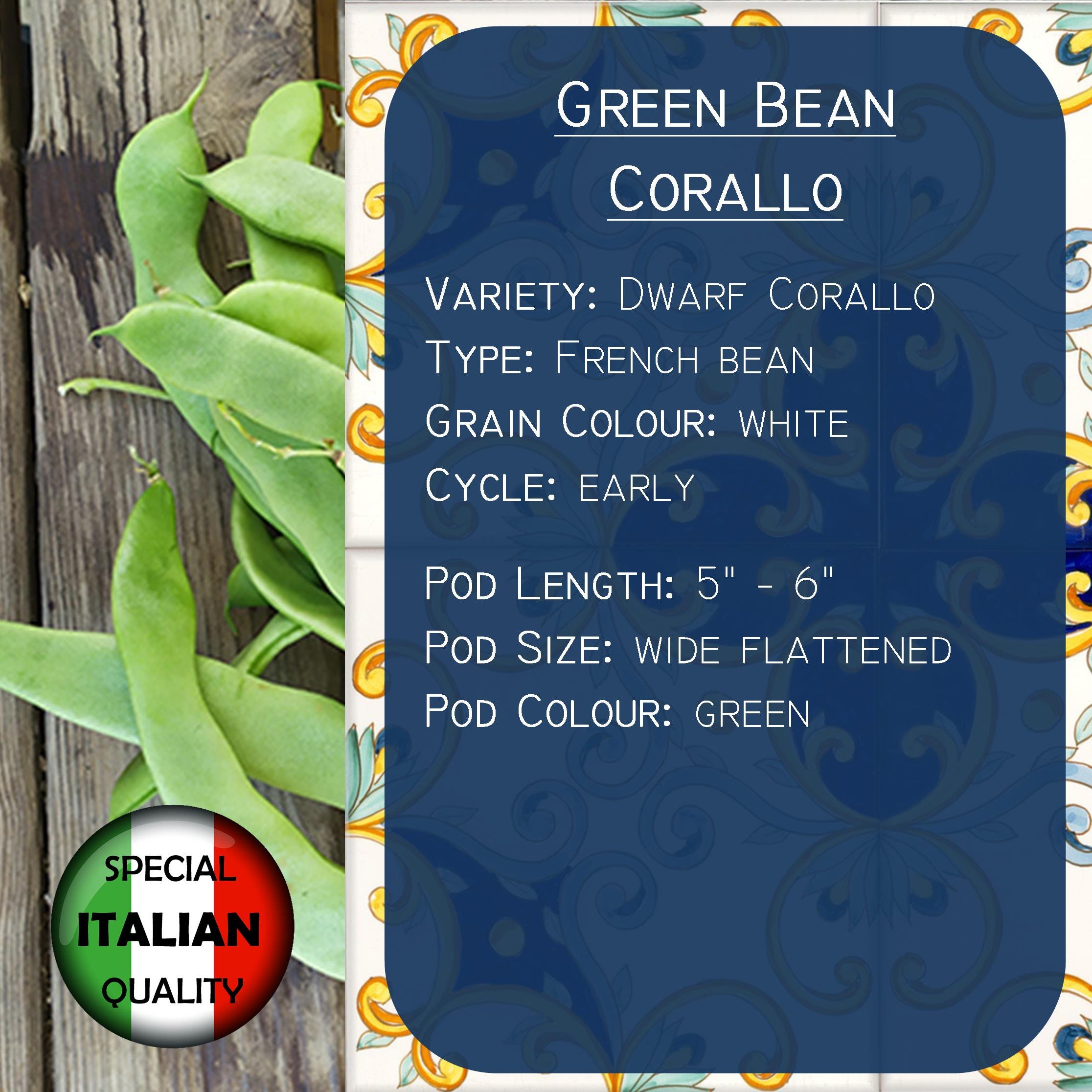 10 Italian Green Bean Seeds Corallo Green Bean Seeds Italian - Etsy Canada