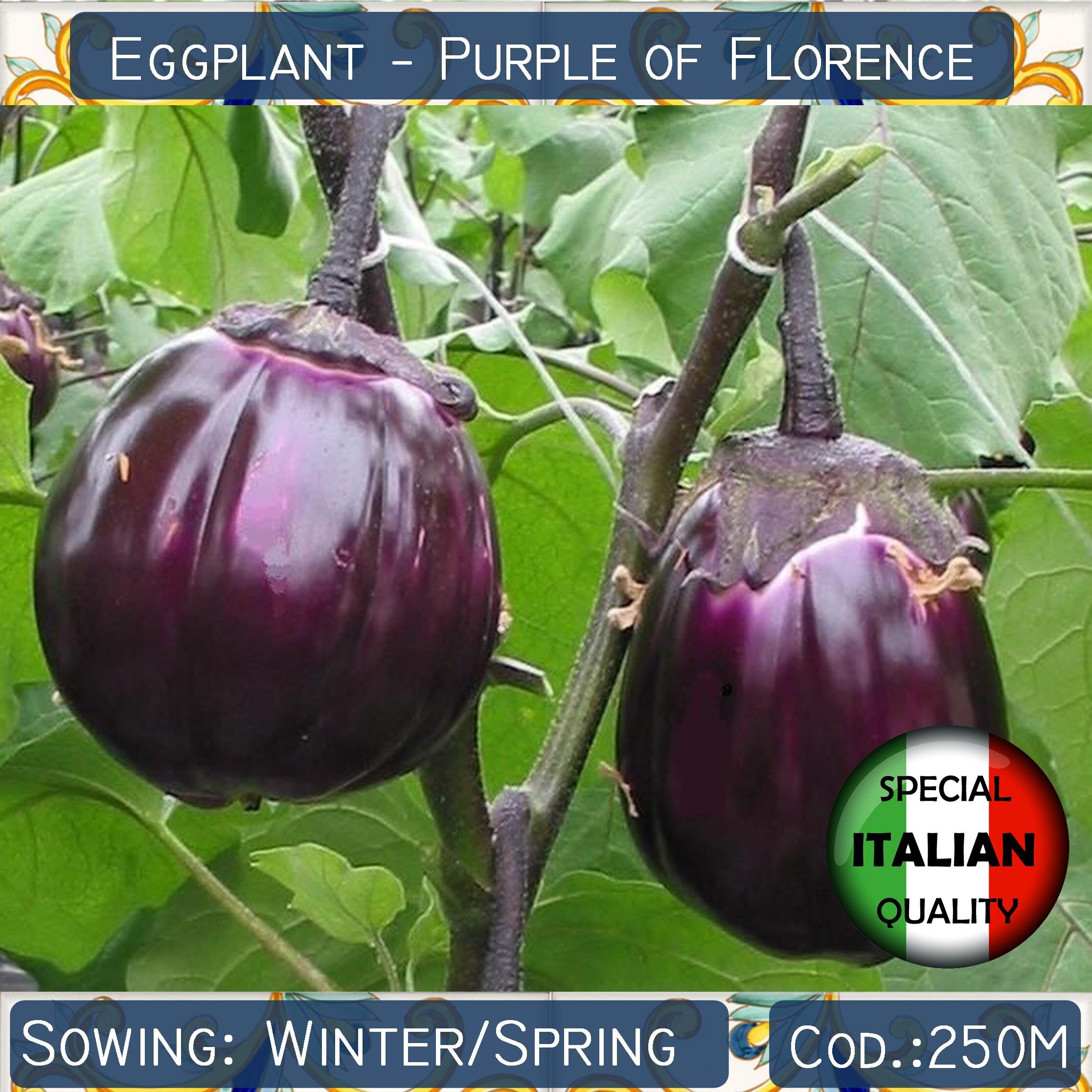 il_fullxfull.3062314424_kkyq.jpg