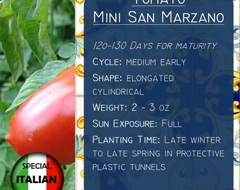 150+ Mini San Marzano Tomato Seeds, Italian Tomato seeds, Small