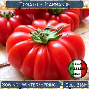 150+ tomatenmarmandezaden, Italiaanse tomatenzaden, rode tomatenzaden, groentezaden, GGO-vrij #316 M