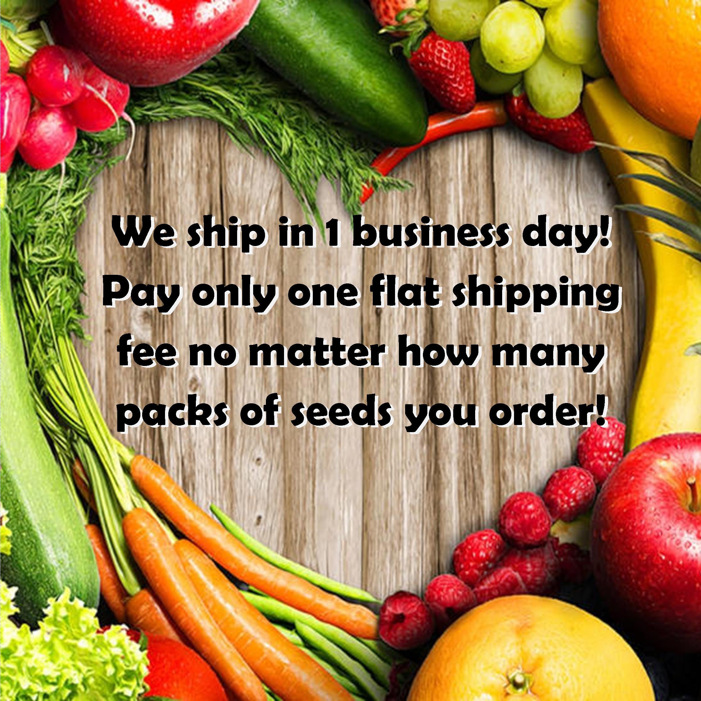 Prezzemolo INVERNO Semi Di Cerfoglio Erbe Anthriscus - Foto 5