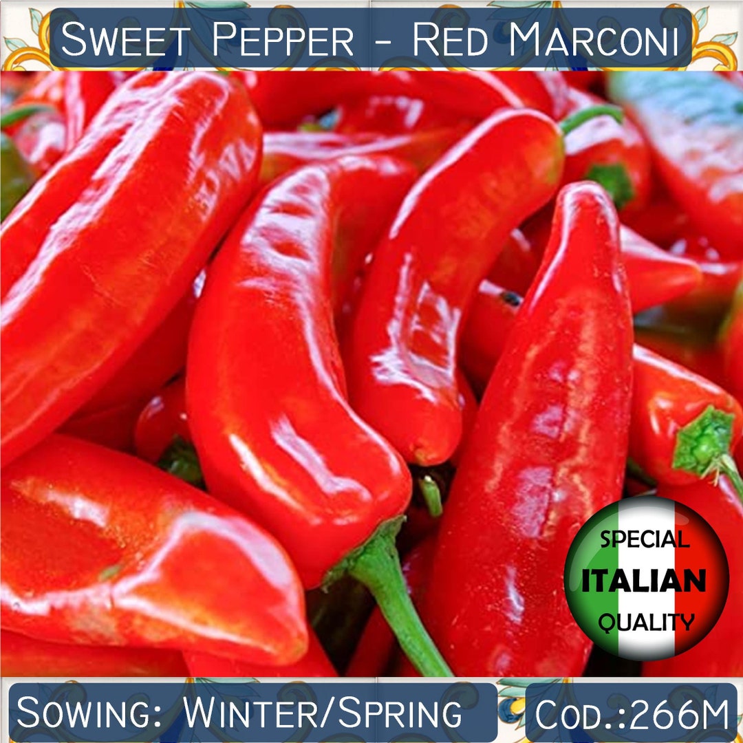 Buy 70 Sweet Pepper Red Marconi Seeds Italian Pepper Seeds Online in