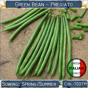 20 French Bean Pregiato seeds, Dwarf French Bean seeds, Green Bean seeds, Italian Legume seeds #703TM