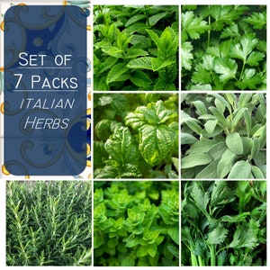 8.800+ seeds - Set of 7 Packs - Italian Herb seeds, Culinary Herb seeds, Aromatic Herb mix seeds, Seed combo 7 packs, Non GMO