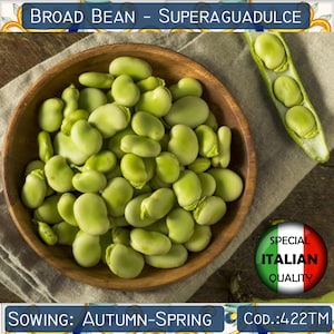 10 Broad Bean Superaguadulce seeds, Fava Bean seeds, Vegetable Garden seeds, Italian vegetable seeds, Non GMO #422TM