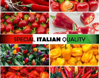 Italian Hot Pepper - Calabrese Hot Pepper, Cherry Bomb Hot Pepper, Cayenna Hot Pepper, Praire Fire Hot Pepper, Scotch Bonnet Hot Pepper