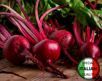 Könnte beinhalten: Nahaufnahme von roten Rüben mit grünen Blättern auf einer Holzoberfläche. Der Text "BEETROOT - D'EGITTO" befindet sich oben im Bild. Der Text "SPECIAL ITALIAN QUALITY" befindet sich in einem Kreis mit einem rot-weiß-grünen italienischen Flaggen-Design. Der Text "SOWING: SPRING/AUTUMN" befindet sich unten links im Bild. Der Text "COD: 024M" befindet sich unten rechts im Bild.