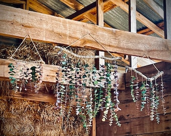Decoración casera, Colgando de la pared del eucalipto, Colgando de la pared del arbolado, Aromaterapia, Estilo Boho, Eucalipto colgando en Driftwood, Colgando de la rama