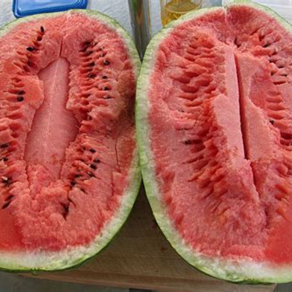 30+ Charleston Gray Watermelon Heirloom Seeds! All Natural, Non GMO! Limited Quantity!