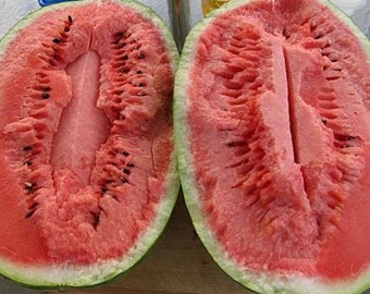 30+ Charleston Gray Watermelon Heirloom Seeds! All Natural, Non GMO! Limited Quantity!