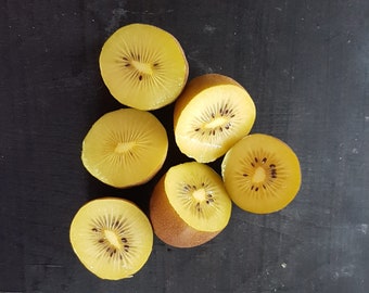 30+ Golden Kiwi (Actinidia chinensis) Seeds! All Natural, Non GMO! Limited Quantity!