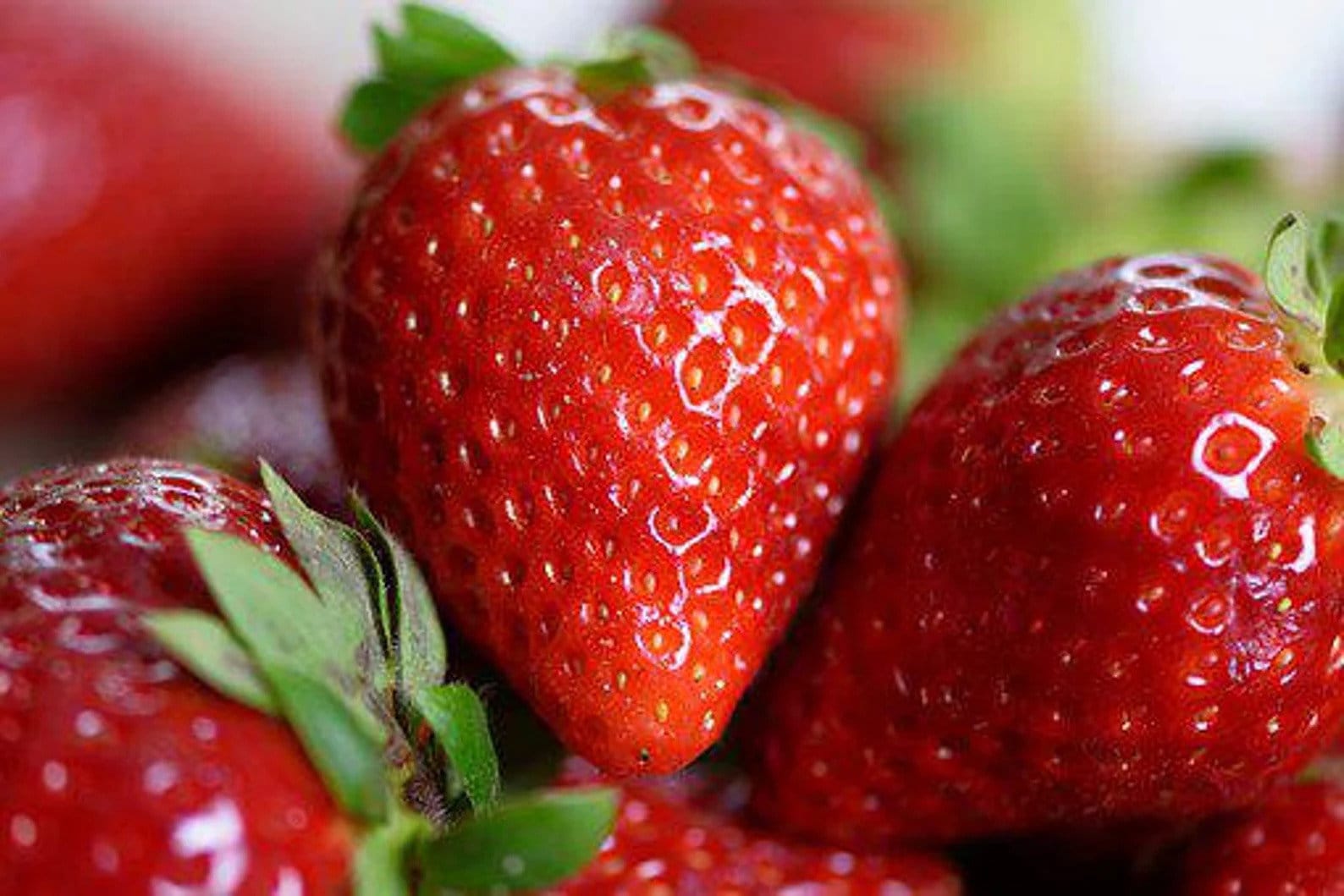 50 Everbearing Strawberry Seeds All Natural, Heirloom, Non GMO Limited