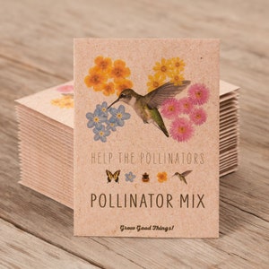 Pollinator Hummingbird Wildflower Mix 25 Seed Packets Perfect Eco-Friendly Gift for DIY Gardeners or New Homeowners Non GMO Seeds image 1