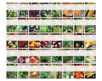 Top 40 Vegetable & Herb Seed Packets - KitGift for Eco-Friendly Gardener - Non-GMO Seeds - Carrots Chives Peppers Greens Radish Basil Beans