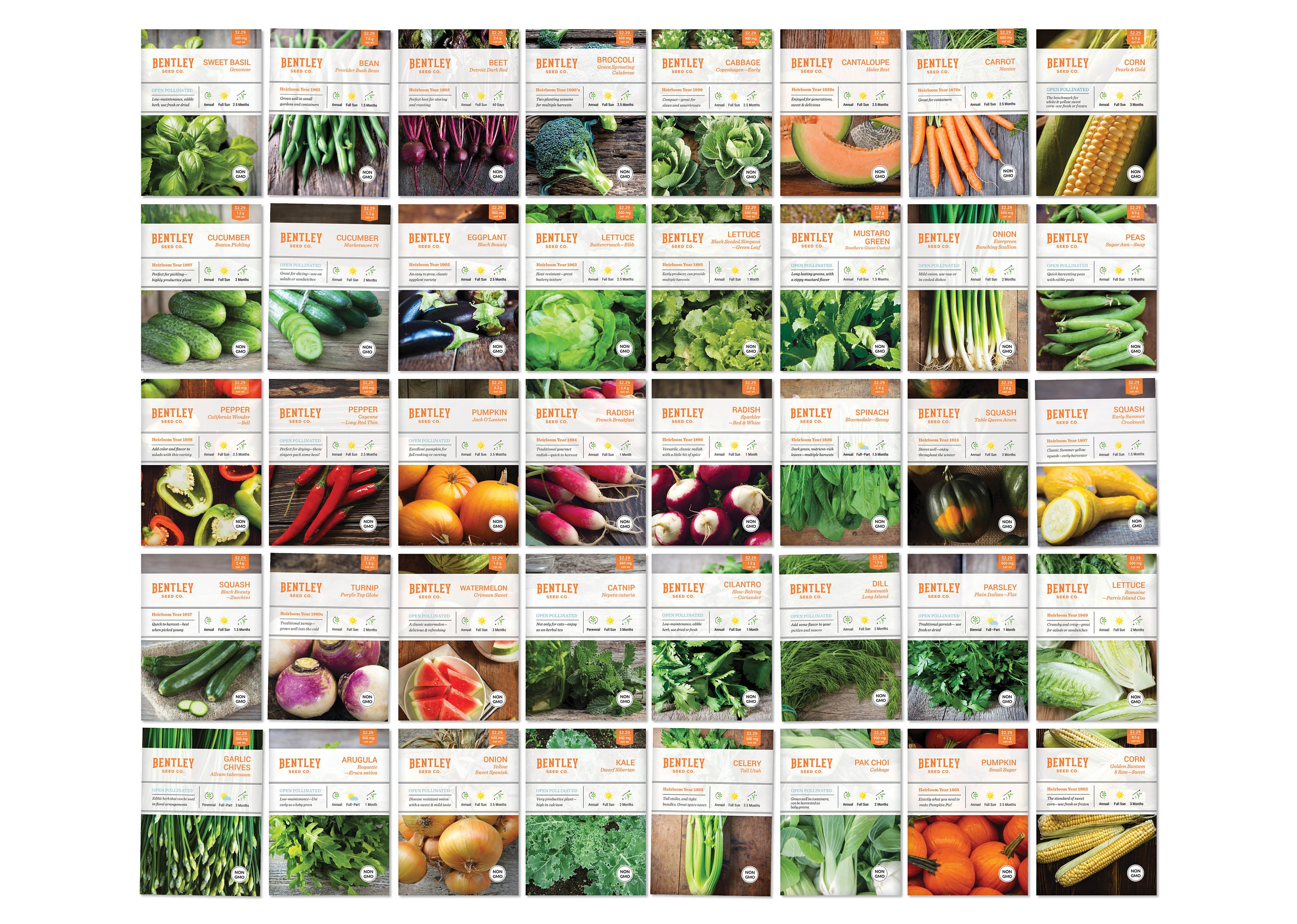 Top 40 Vegetable & Herb Seed Packets - KitGift for Eco-Friendly Gardener - Non-GMO Seeds - Carrots Chives Peppers Greens Radish Basil Beans