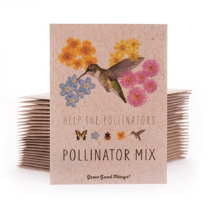 Pollinator Hummingbird Wildflower Mix 25 Seed Packets Perfect Eco-Friendly Gift for DIY Gardeners or New Homeowners Non GMO Seeds image 9