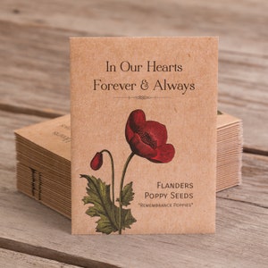 In Our Hearts Remembrance Memorial - Flanders Poppy - 25 Seed Packets- Perfect Eco-Friendly Gift for Remembrance or Funeral - Flower Seeds