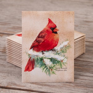 Winter Birds Christmas Tags, Tree Gift Tags, Woodland Cardinal Birdhouse,  Gift Tags With String, Personalized Labels, Custom Printed 2 Size 