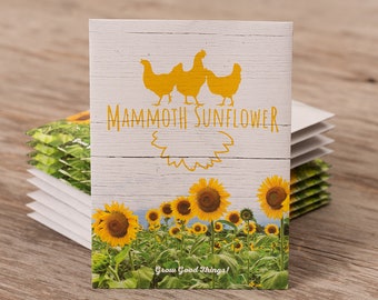 Chicken in White - Mammoth Sunflower - 25 Seed Packets- Perfect Eco-Friendly Gift for DIY Gardeners or Chicken Lovers - Card - Non GMO Seeds