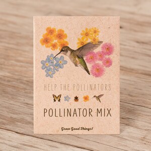 Pollinator Hummingbird Wildflower Mix 25 Seed Packets Perfect Eco-Friendly Gift for DIY Gardeners or New Homeowners Non GMO Seeds image 8