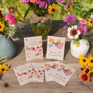 Pollinator Hummingbird Wildflower Mix 25 Seed Packets Perfect Eco-Friendly Gift for DIY Gardeners or New Homeowners Non GMO Seeds image 5