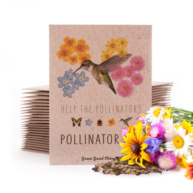 Pollinator Hummingbird Wildflower Mix 25 Seed Packets Perfect Eco-Friendly Gift for DIY Gardeners or New Homeowners Non GMO Seeds image 2