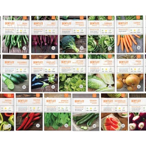 Top 20 Vegetable Seed Packets - KitGift for Eco-Friendly Gardener - Non-GMO Seeds - Carrots Beans Peppers Greens Radish Corn Beans