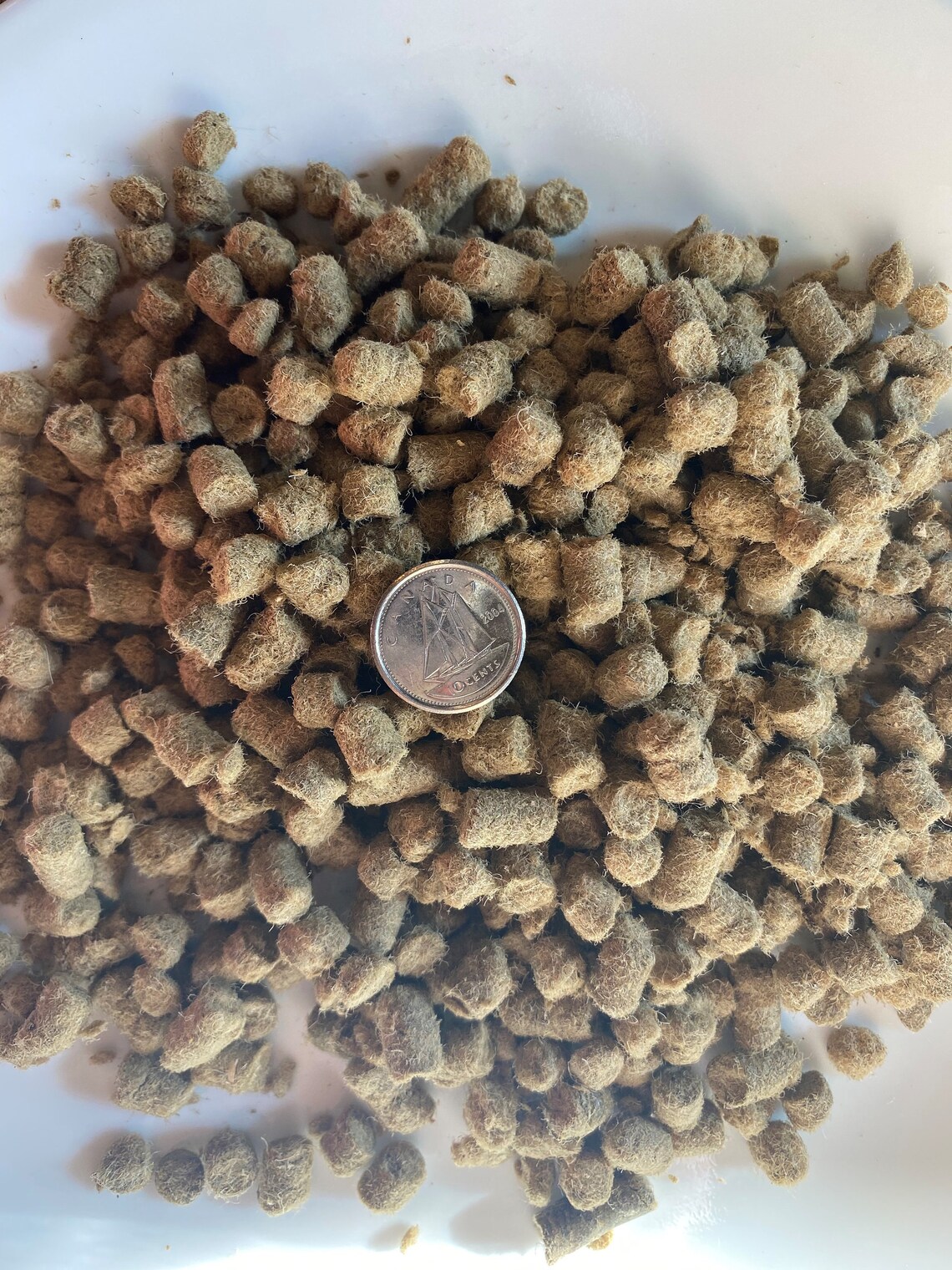 Sheep Wool Pellets 2 Litre Bag Etsy