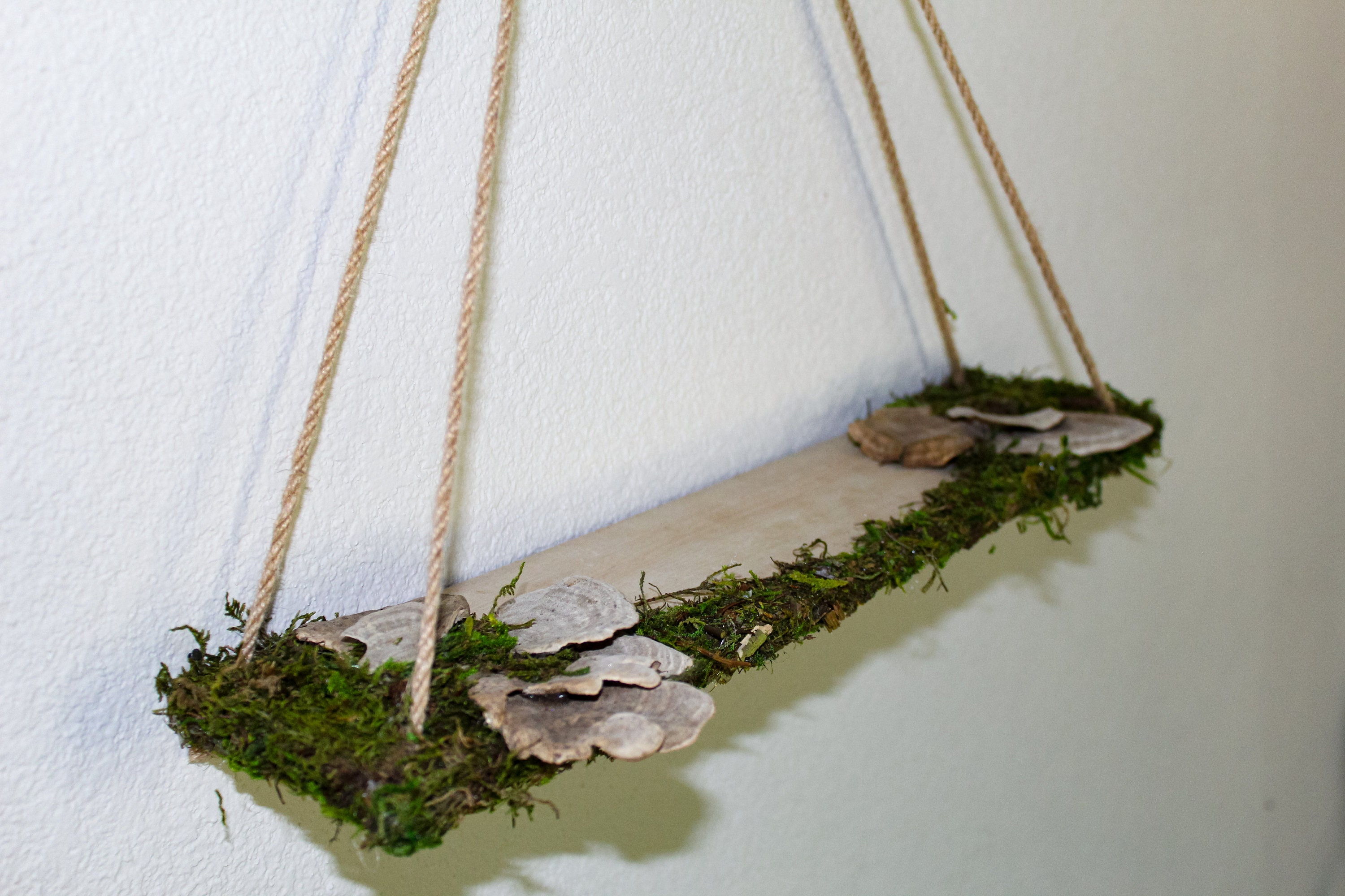 Mushroom Shelf Display Shelf Crystal Shelf Mushroom Art Moss