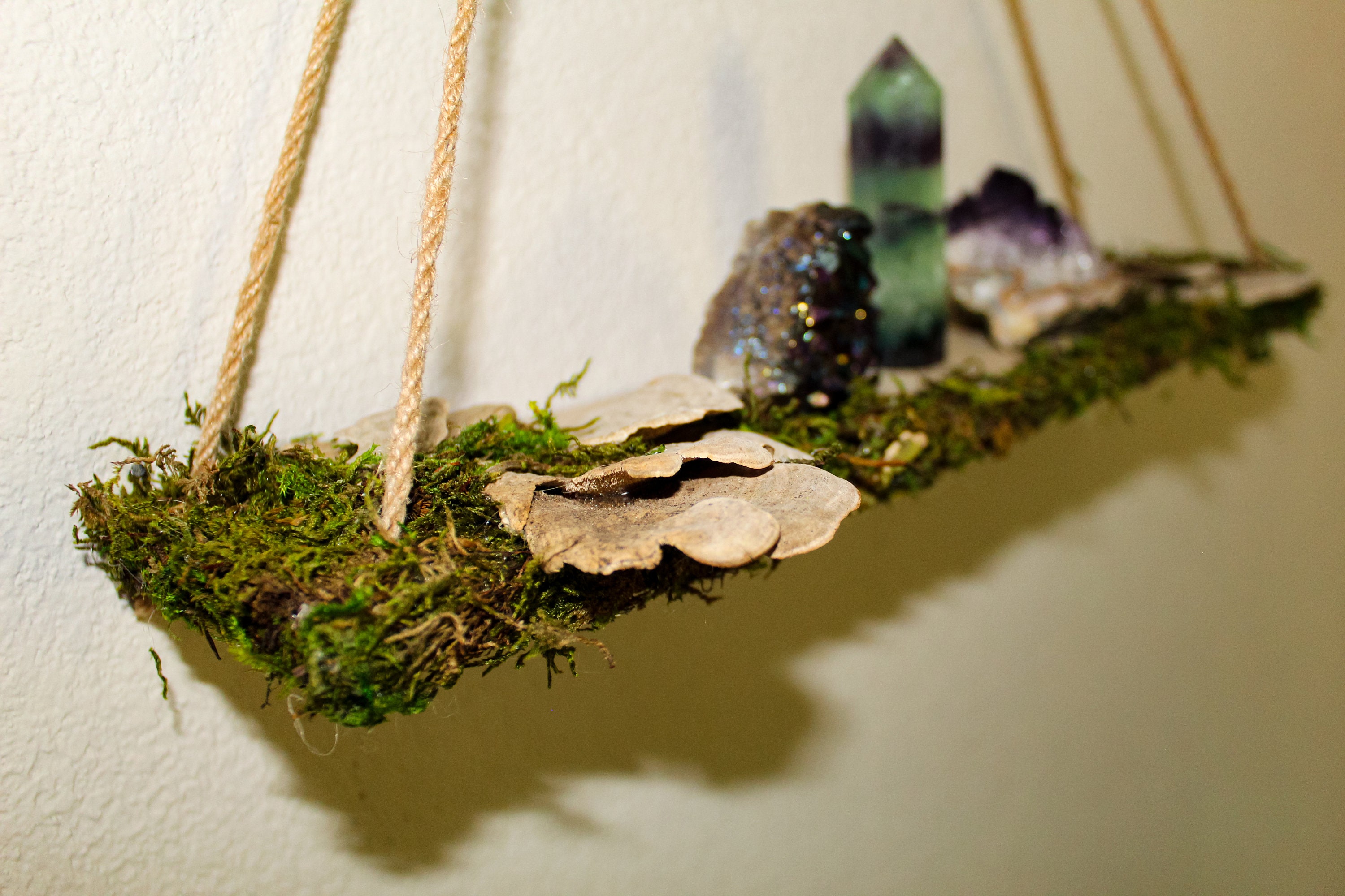 Mushroom Shelf Display Shelf Crystal Shelf Mushroom Art Moss