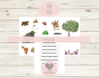 Prepositions Learning Cards: Montessori Printable (PDF)