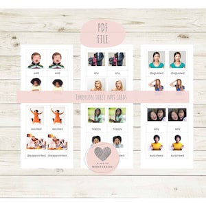 Emotion Three Part Cards
