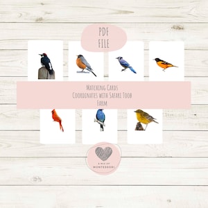 Backyard Birds Matching Cards for Safari Toobs Montessori Language Cards