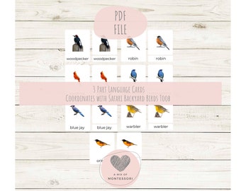 Tarjetas Montessori de tres partes: Nomenclatura de aves de jardín