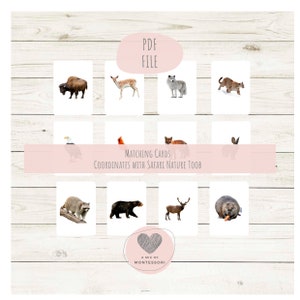 Natuur bijpassende kaarten voor Safari Toobs Montessori taalkaarten