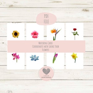 Flower Matching Cards for Safari Toobs Montessori Language Cards