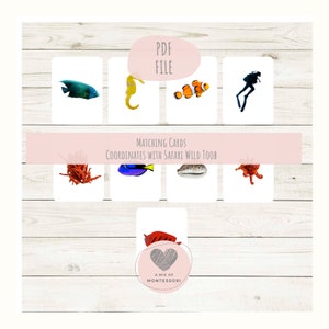 Coral Reef Toob Matching Cards for Safari Toobs Montessori Language Cards
