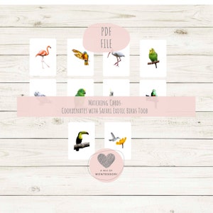 Exotic Birds Matching Cards for Safari Toobs Montessori Language Cards