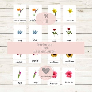 Montessori Three-Part Cards Flowers Nomenclature