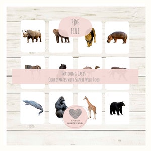 Wild Toob Matching Cards for Safari Toobs Montessori Language Cards