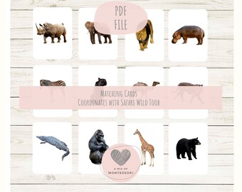 May include: A set of matching cards featuring illustrations of safari animals, including a rhinoceros, elephant, lion, and hippo. The cards are white with a pink banner that reads "Matching Cards Coordinates with Safari Wild Toob". The text "PDF FILE" is also visible.
