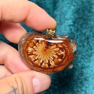 May include: A handcrafted pendant featuring a cross-section of a pine cone, showcasing intricate natural patterns in shades of brown and cream. The pendant is encased in clear resin and has a small gold-colored bail for hanging.