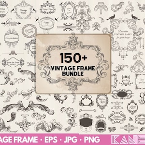 Dekorative Linien SVG, florale Wirbel, Ornamente, Akzentelemente (Digitaler Download)