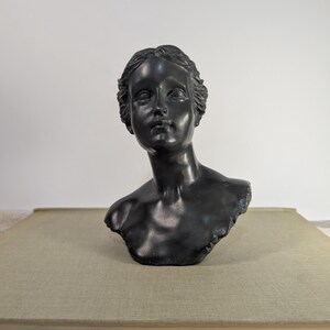 May include: A dark bronze bust of a woman with detailed facial features and wavy hair. The sculpture is a classic representation of a female figure, showcasing the neck and upper chest. The bust is set against a neutral background.